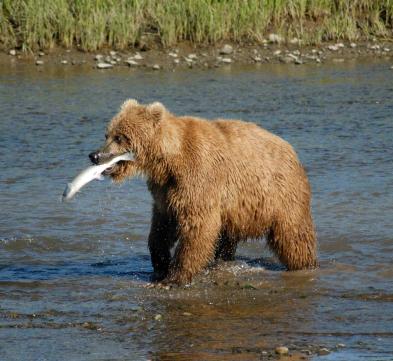 Leo Anders profile photo