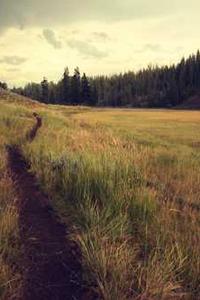 Maya Chen profile photo