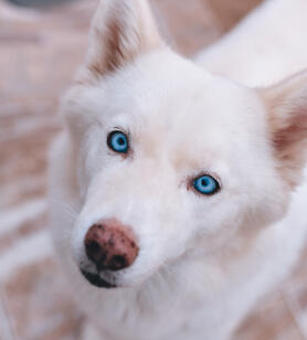 Jonas Richter profile photo