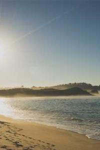 Jonas Richter profile photo