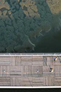 Maya Chen profile photo