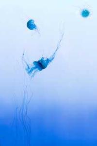 Leo Anders profile photo