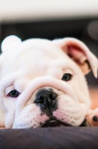 Leo Anders profile photo