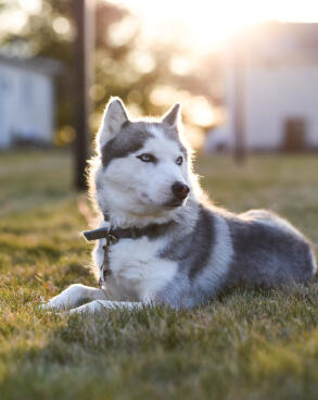 Leo Anders profile photo