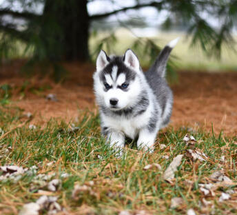 Alex Martinez avatar