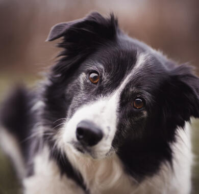 Alex Martinez avatar