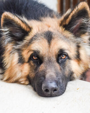 Alex Martinez avatar