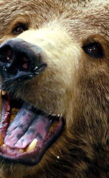 Leo Anders profile photo