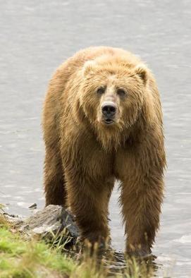 Jonas Richter profile photo