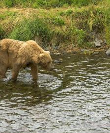 Leo Anders profile photo