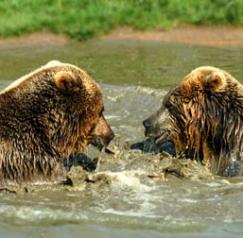 Jonas Richter profile photo