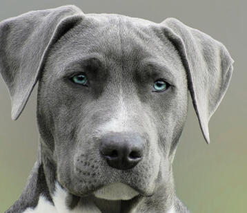 Alex Martinez avatar