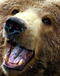 Alex Martinez avatar