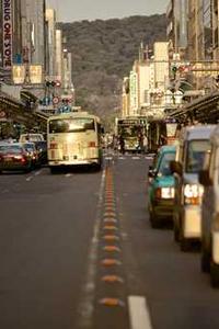 Maya Chen profile photo