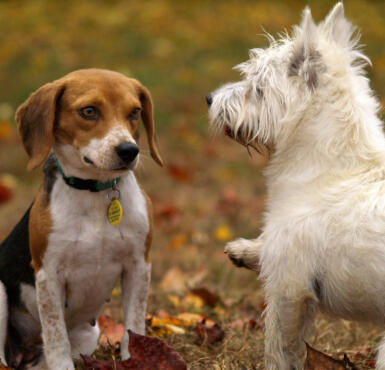 Jonas Richter profile photo