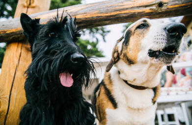 Leo Anders profile photo