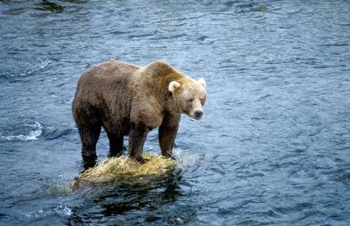 Leo Anders profile photo