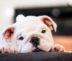 Leo Anders profile photo