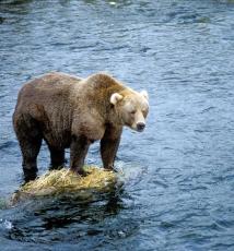 Jonas Richter profile photo