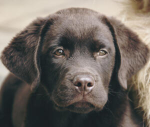 Jonas Richter profile photo