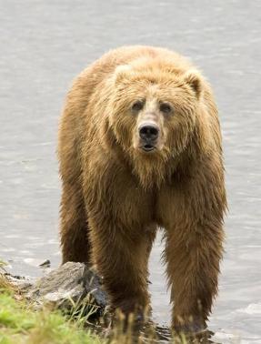 Alex Martinez avatar