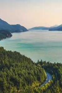 Maya Chen profile photo