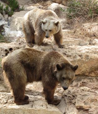 Jonas Richter profile photo