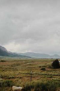 Maya Chen profile photo