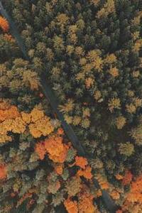 Maya Chen profile photo