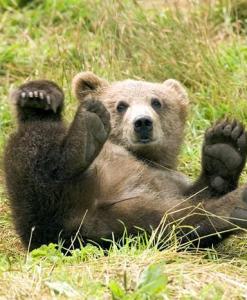 Leo Anders profile photo