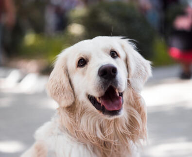 Jonas Richter profile photo