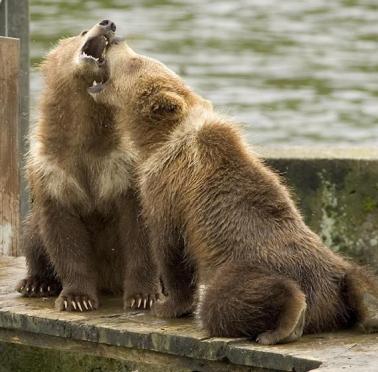 Alex Martinez avatar