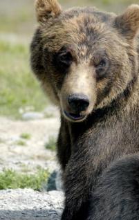 Alex Martinez avatar