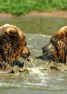 Alex Martinez avatar