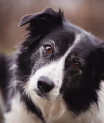 Leo Anders profile photo