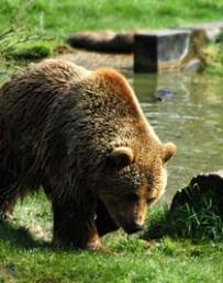 Jonas Richter profile photo