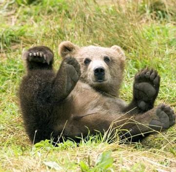 Leo Anders profile photo