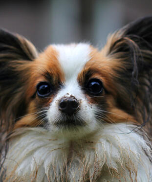 Maya Chen profile photo