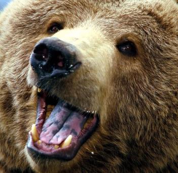 Maya Chen profile photo