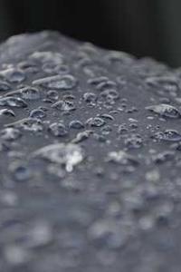 Jonas Richter profile photo