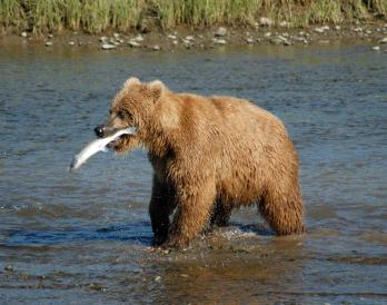 Maya Chen profile photo