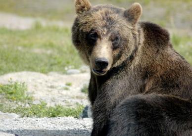 Alex Martinez avatar