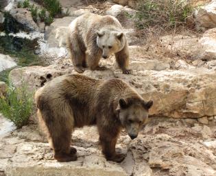 Alex Martinez avatar