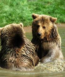 Alex Martinez avatar