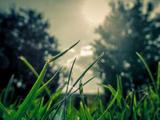 Lit Hub Daily: October 27, 2026