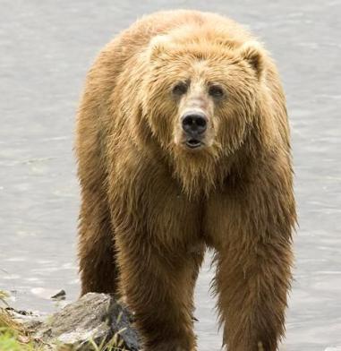 Jonas Richter profile photo