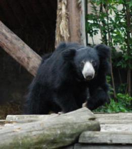 Alex Martinez avatar