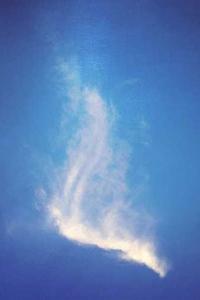 Maya Chen profile photo