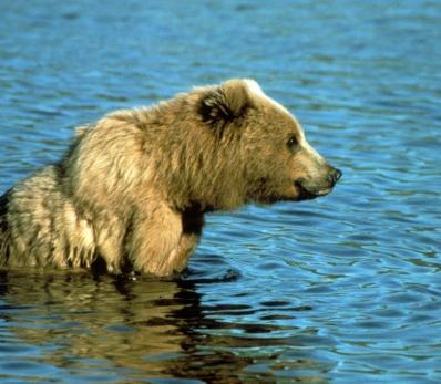 Maya Chen profile photo