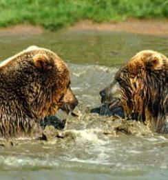 Jonas Richter profile photo